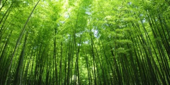 Green Initiatives